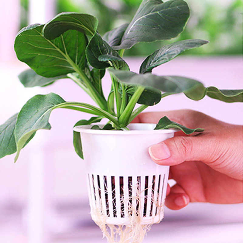 ydroponic Planting System Smar - Home Automation System Diy recension och pris