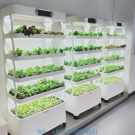 Hydroponic Automated Grow Syst - Home Automation System Diy recension och pris
